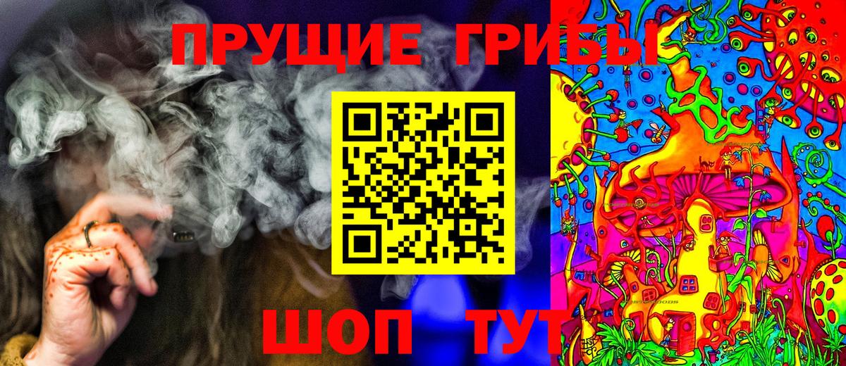 Галлюциногенные грибы MAGIC MUSHROOMS  Вход с VPN  Отрадное  Псилоцибиновые грибы Psilocybe 